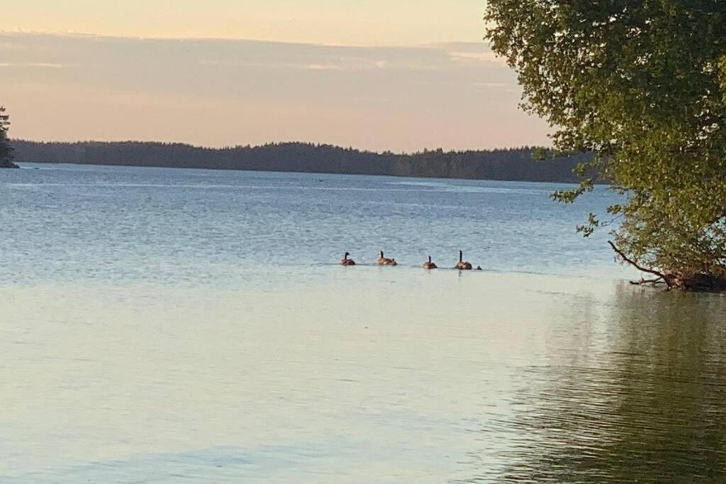Elegant On The Shore Of Saimaa * Lappeenranta